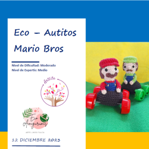 Patrón Eco-Autitos