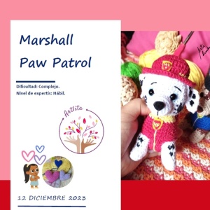 Patrón Marshall