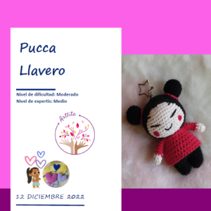 Patrón Pucca